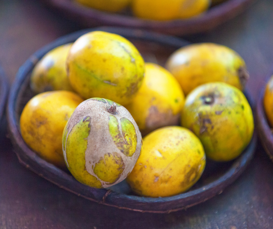 Dwarf Ambarella - hog plum