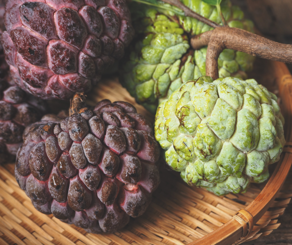 Sugar Apple - Purple