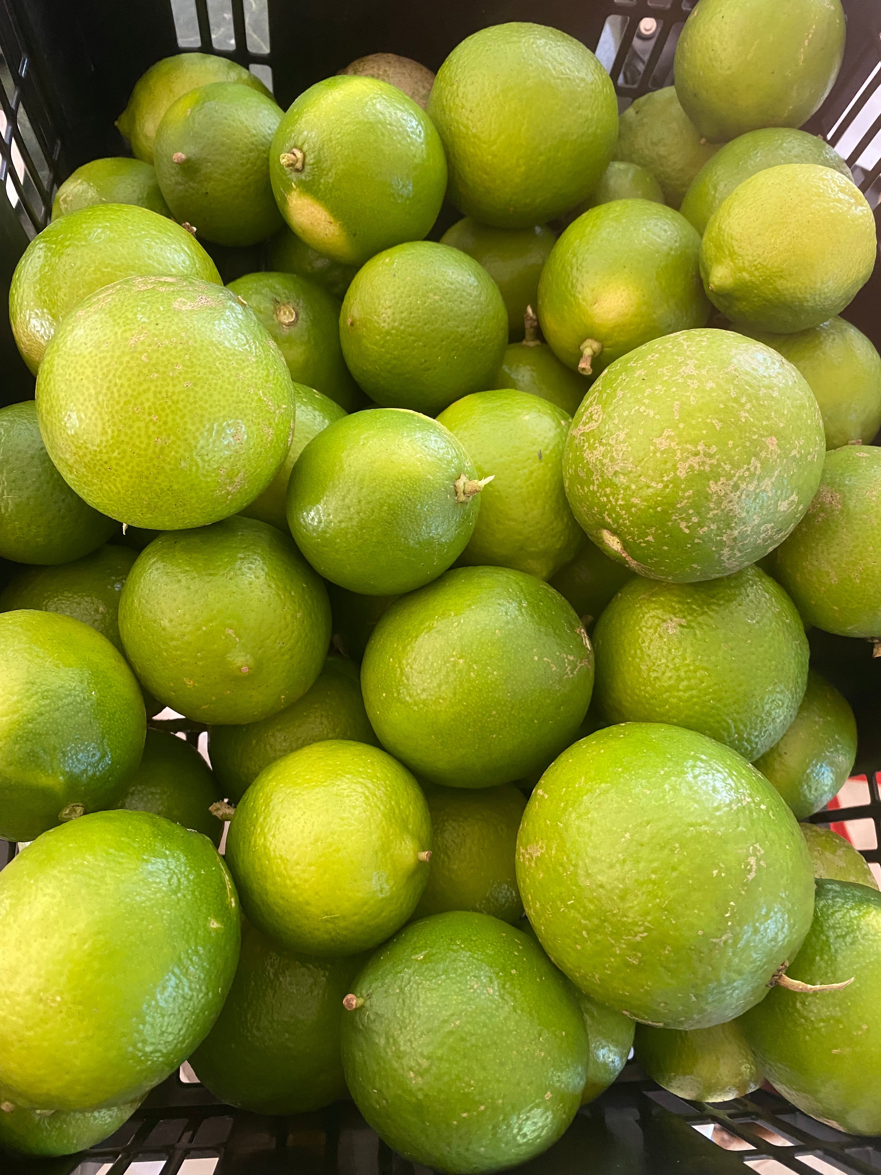 Dawrf Tahitian Lime
