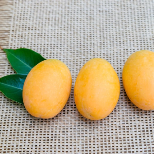 Maprang - Plum Mango