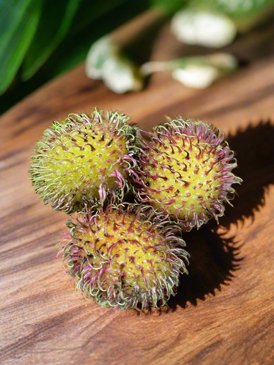 Rambutan - E35