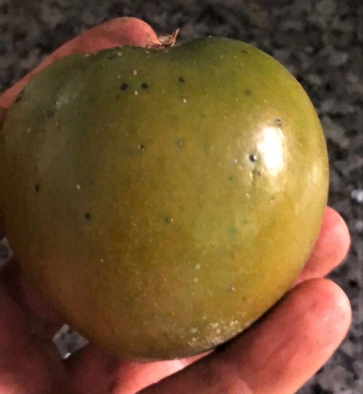 Sapote - Green