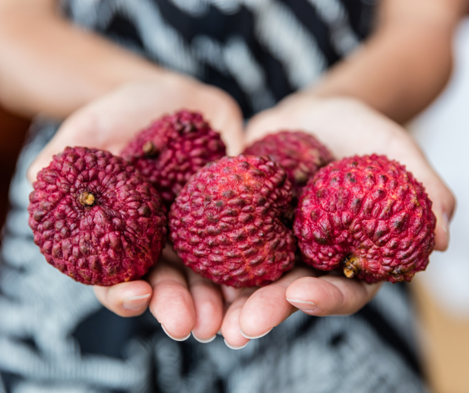 Lychee - Erdon Lee Advanced