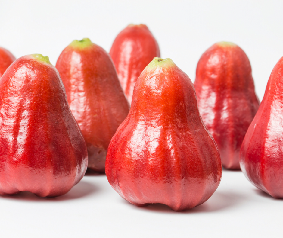 Wax Jambu Apple - Red Advanced