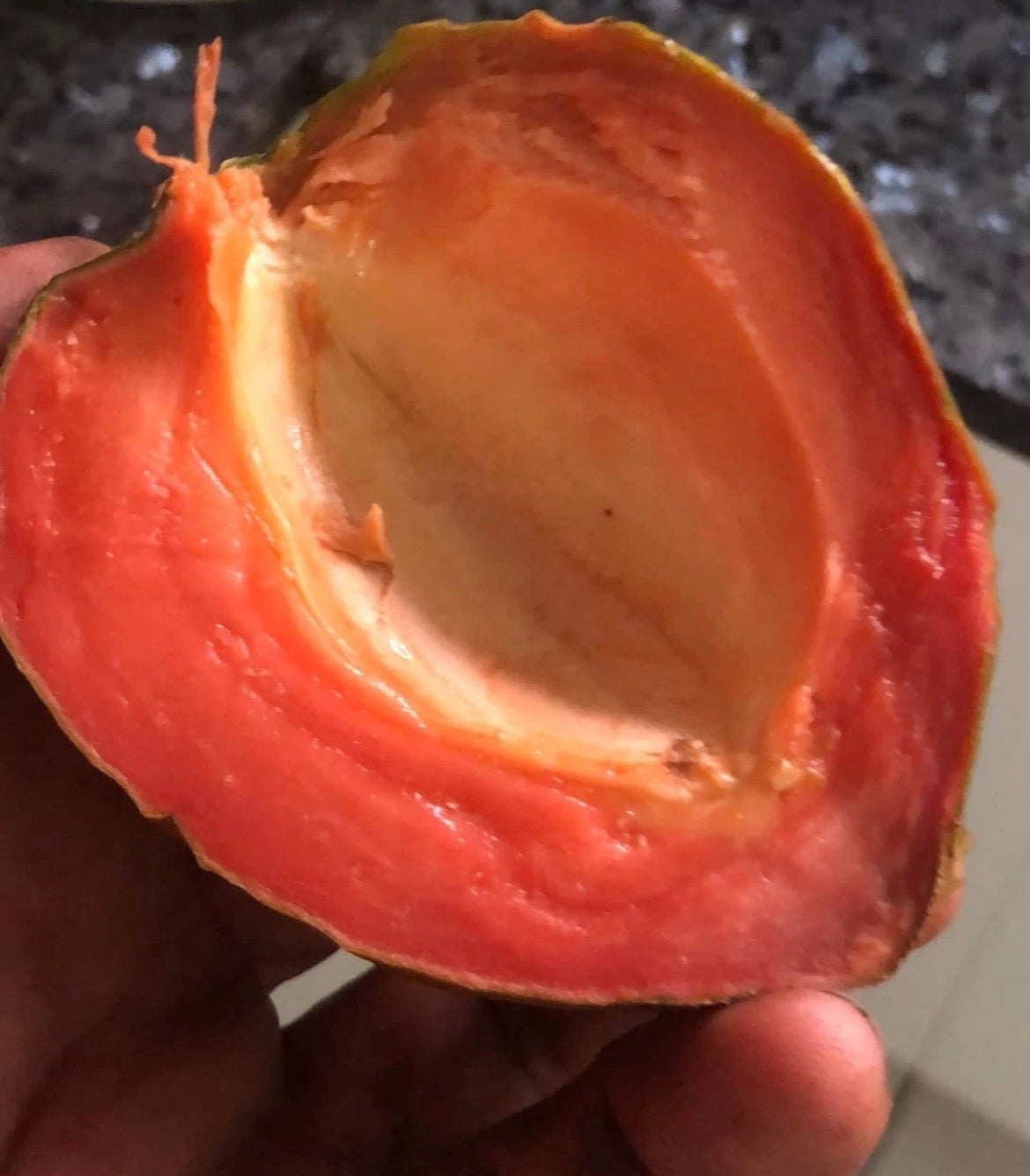 Sapote - Green
