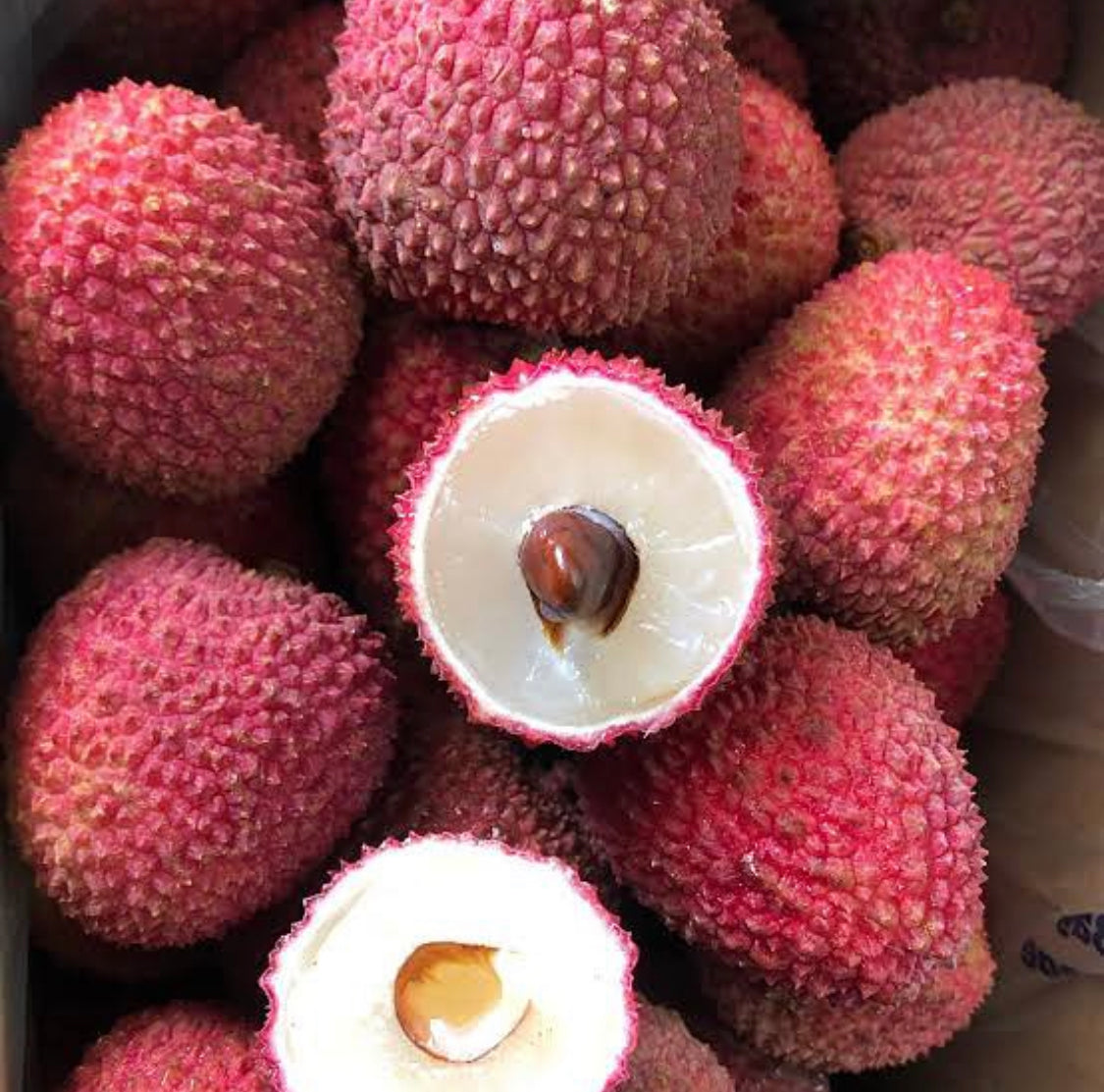 Lychee - Fay Zee Siu