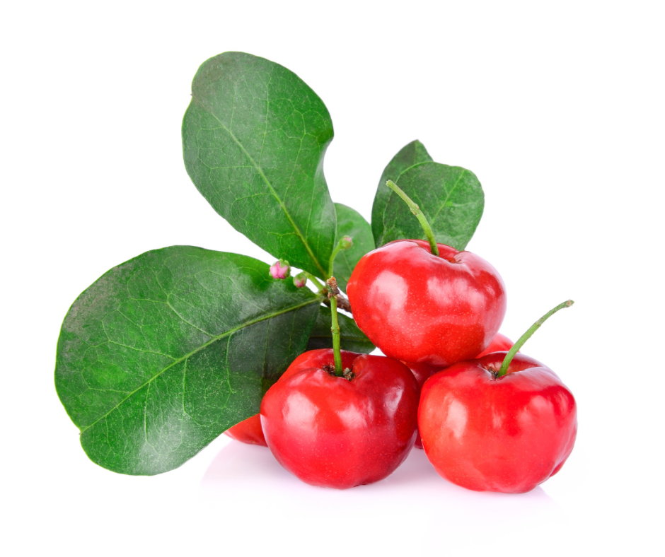 Acerola - Florida Sweet