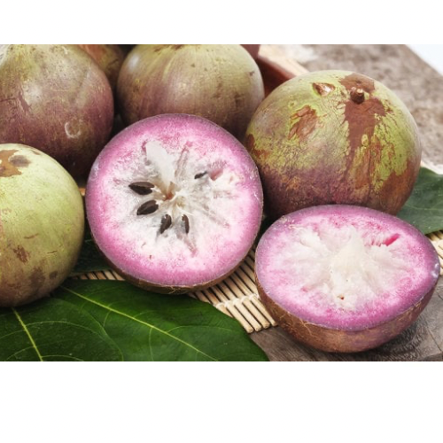 Star Apple - Elva Low Latex