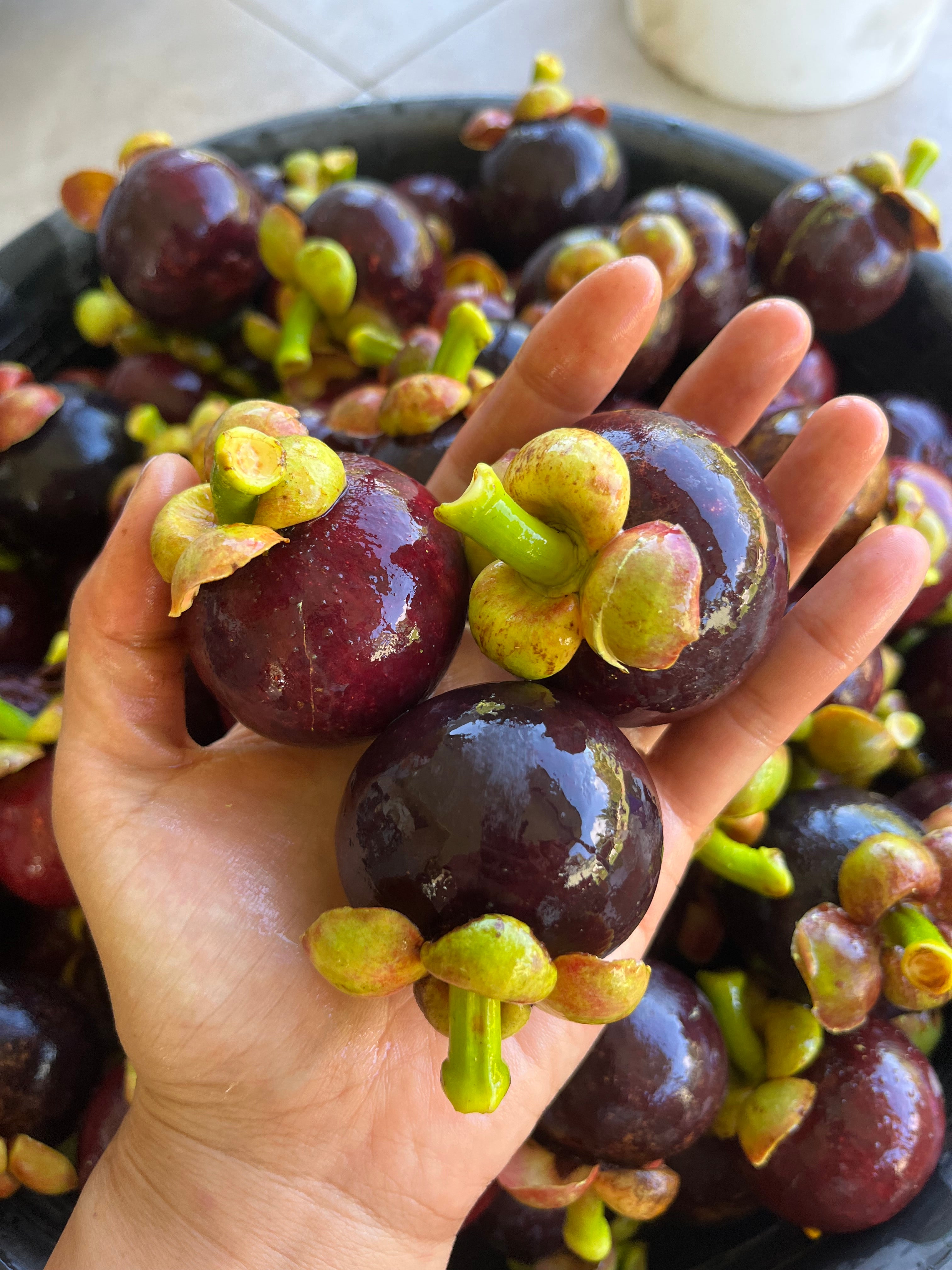 Fresh Mangosteen 1kg