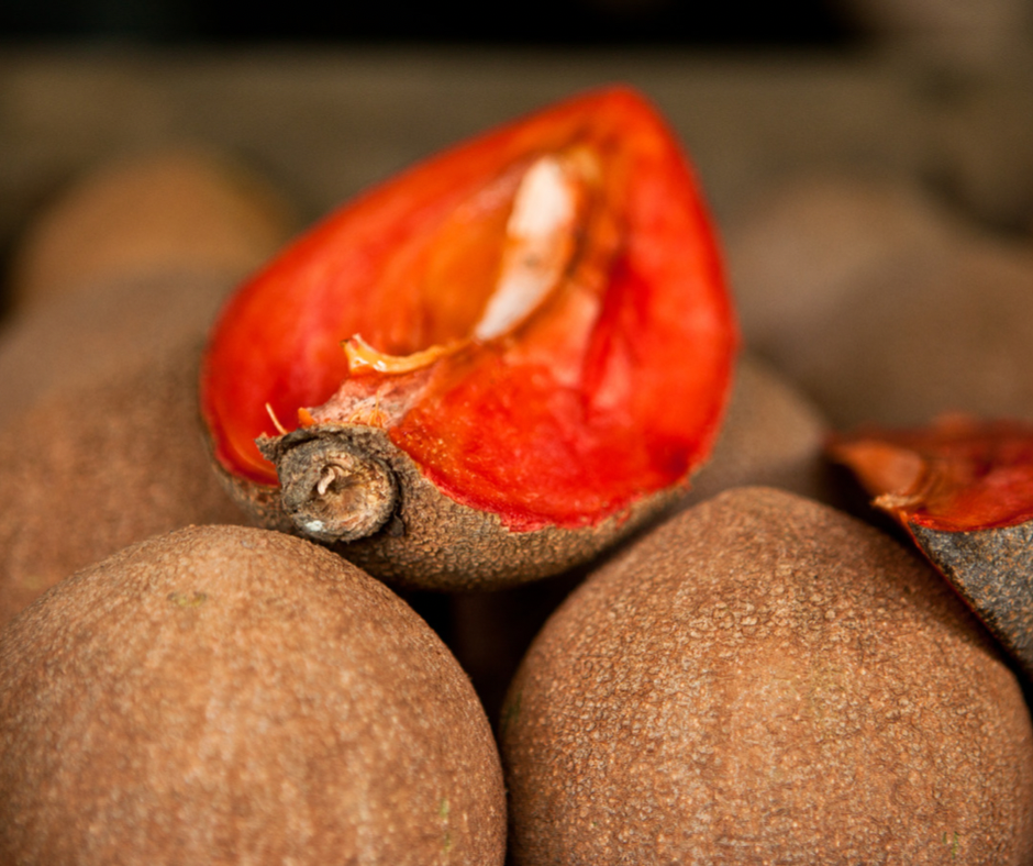 Mamey Sapote