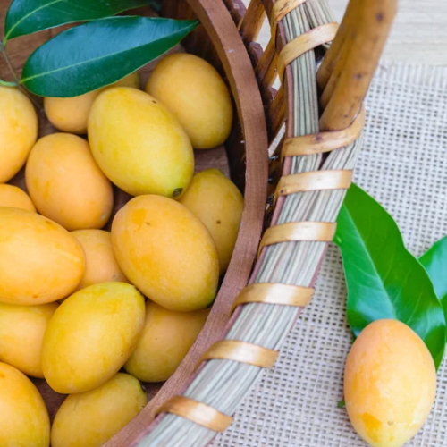 Maprang - Plum Mango