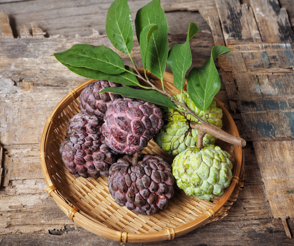 Sugar Apple - Purple