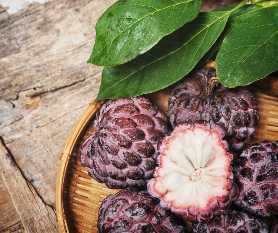 Sugar Apple - Purple