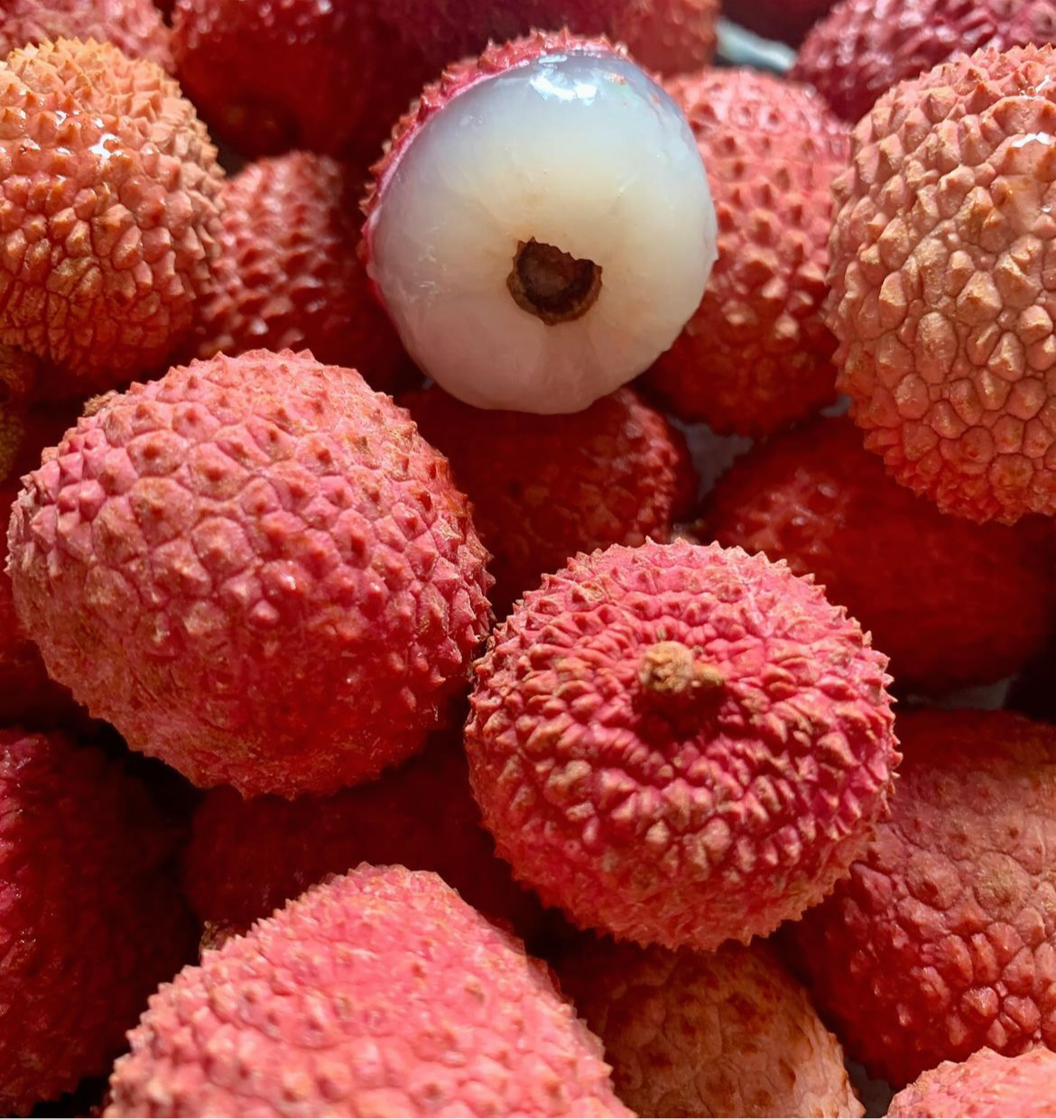 Lychee - Kwai May Pink (Bosworth 3)