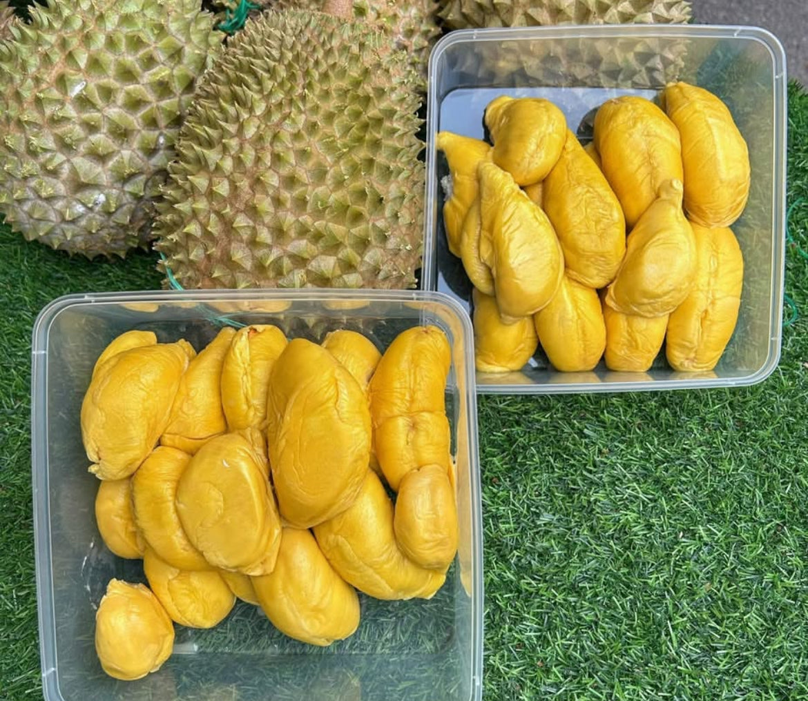 Fresh Durian 350g Seedless