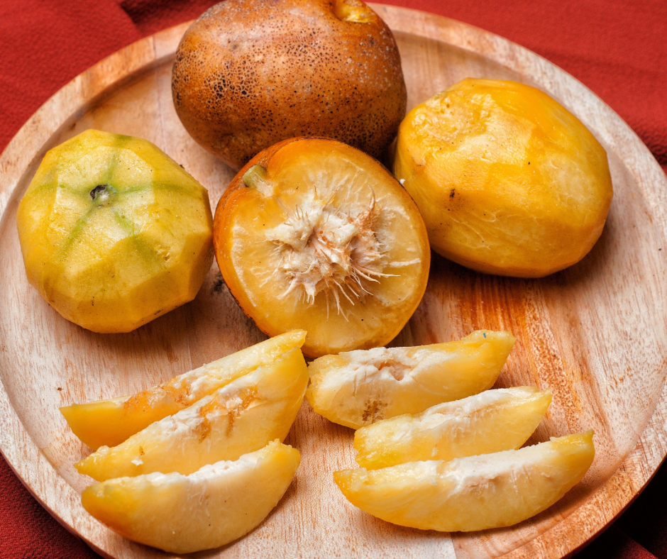 Dwarf Ambarella - hog plum