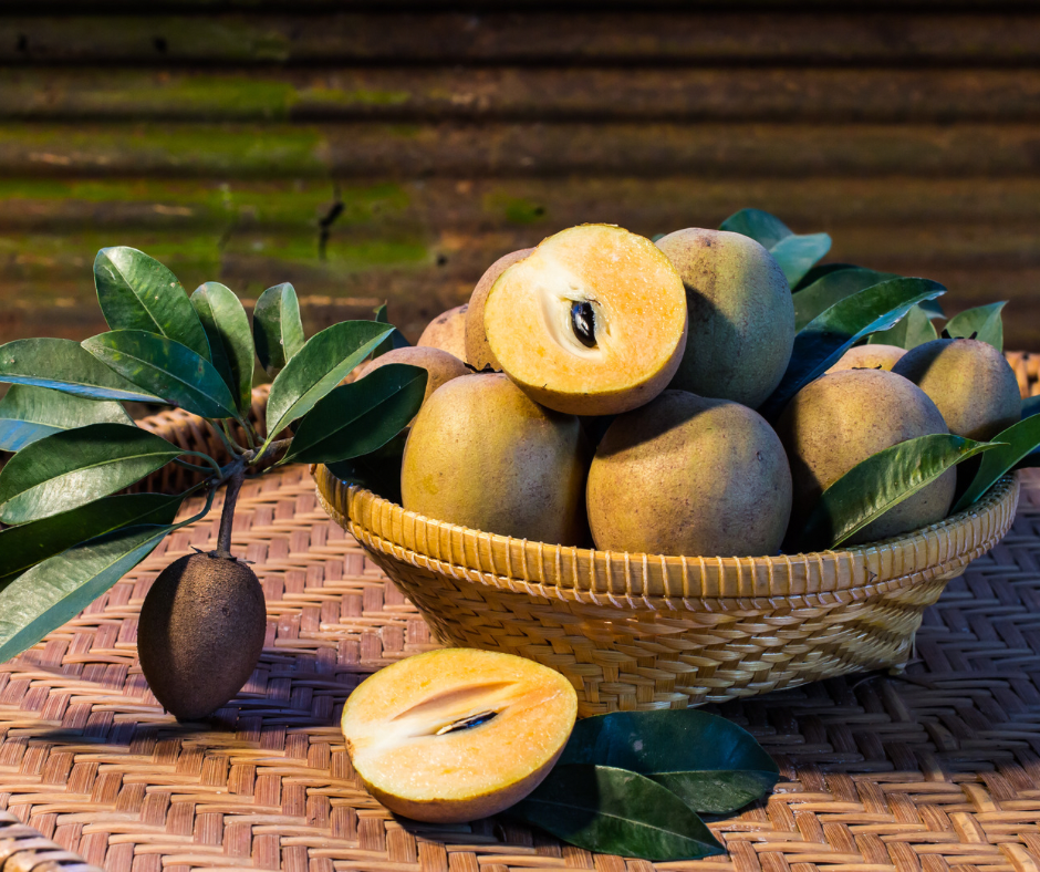 Sapodilla