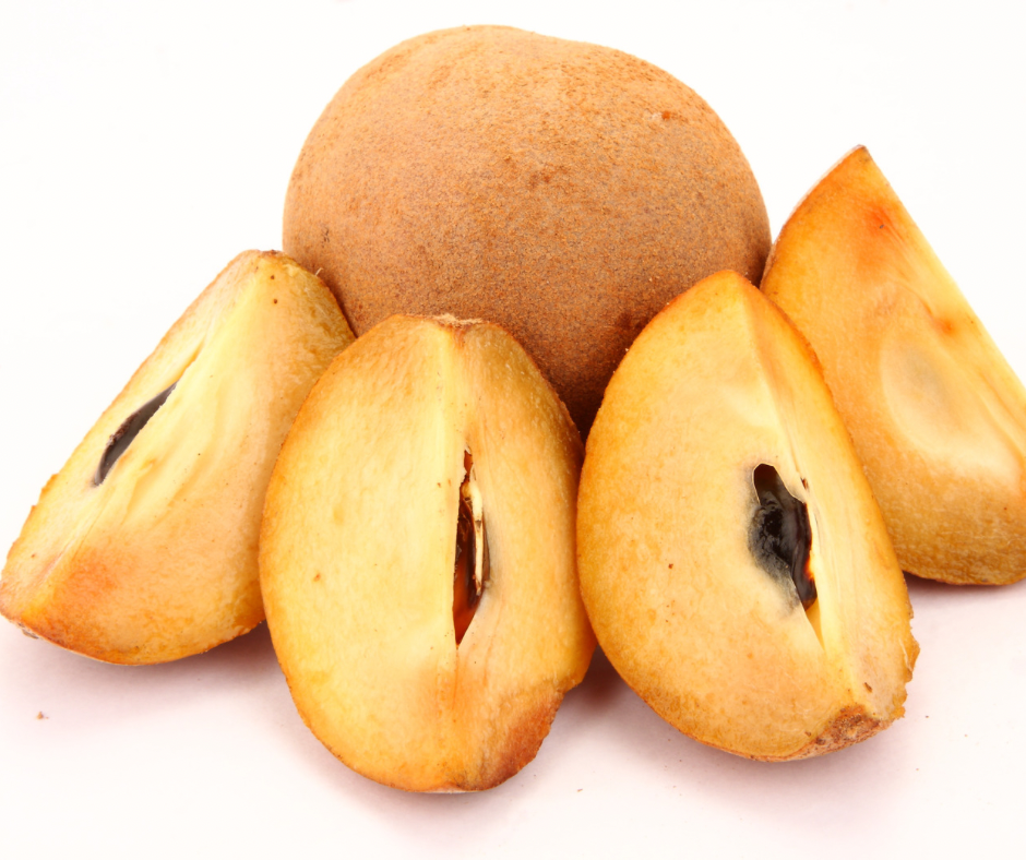 Sapodilla