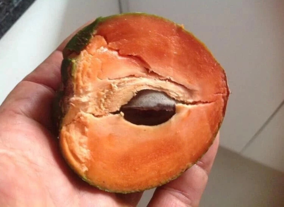 Sapote - Green