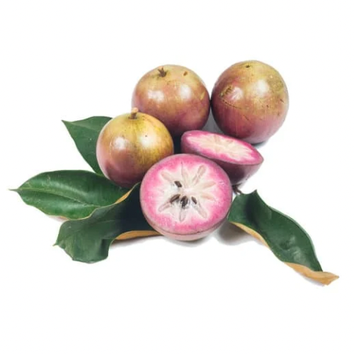 Star Apple - Elva Low Latex