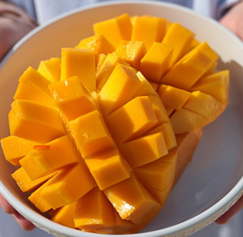 Mango -  Kensington Pride