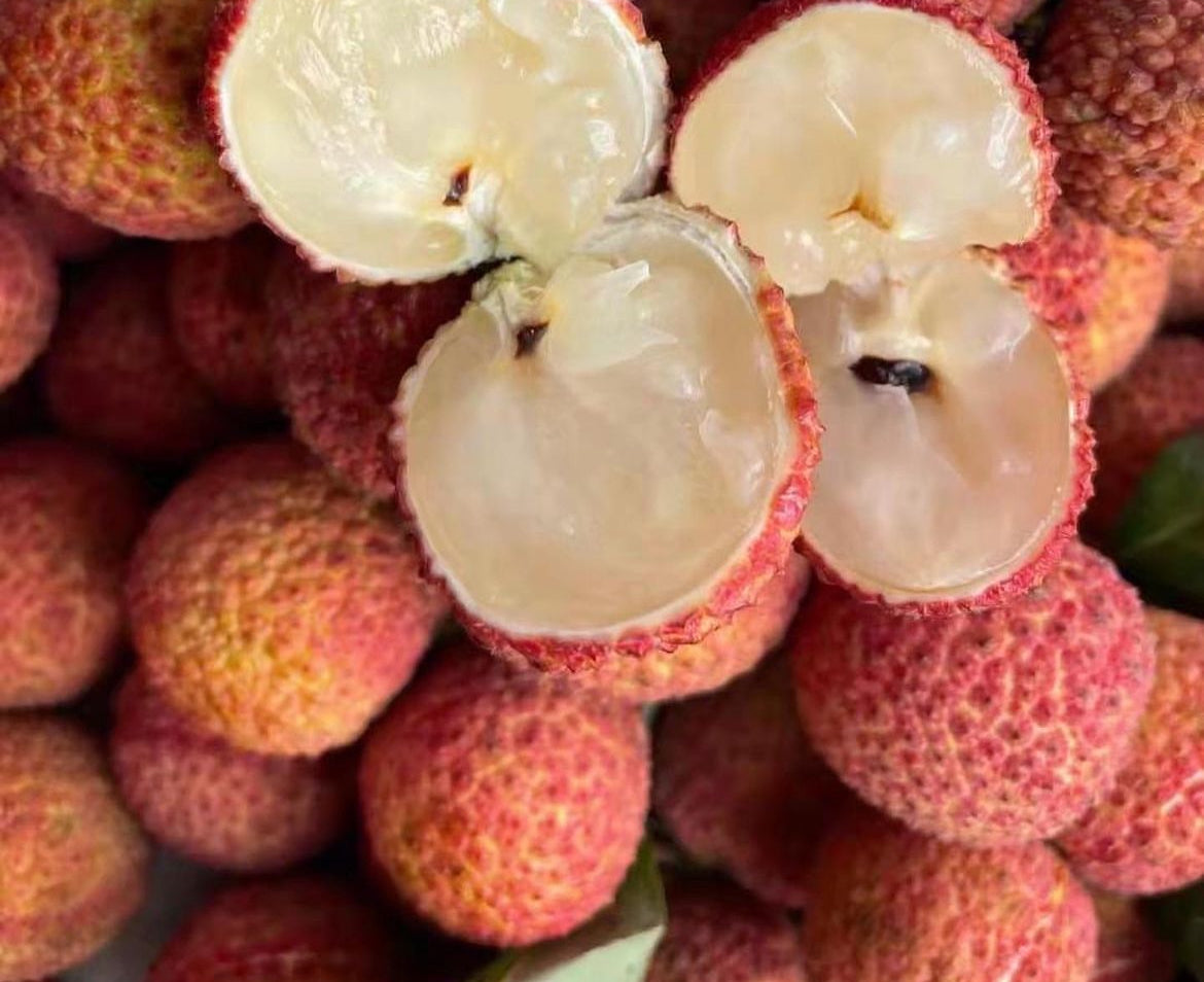 Lychee - Seedless