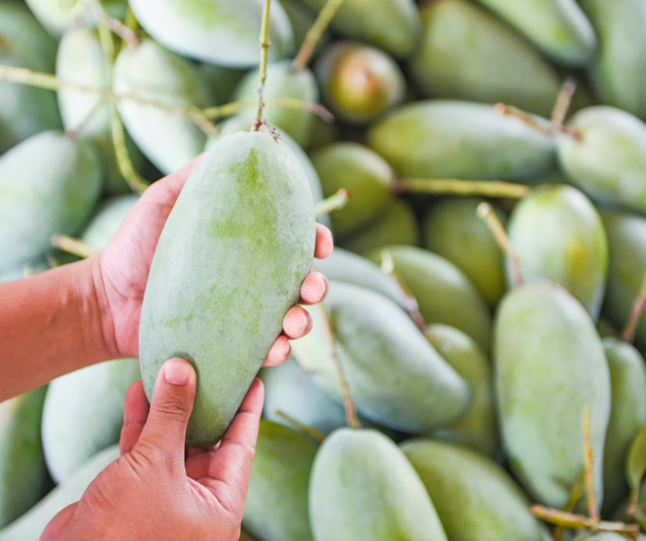 Mango - Khiew Sawoey