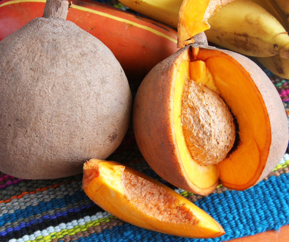 Mammea Americana - Mamey Apple