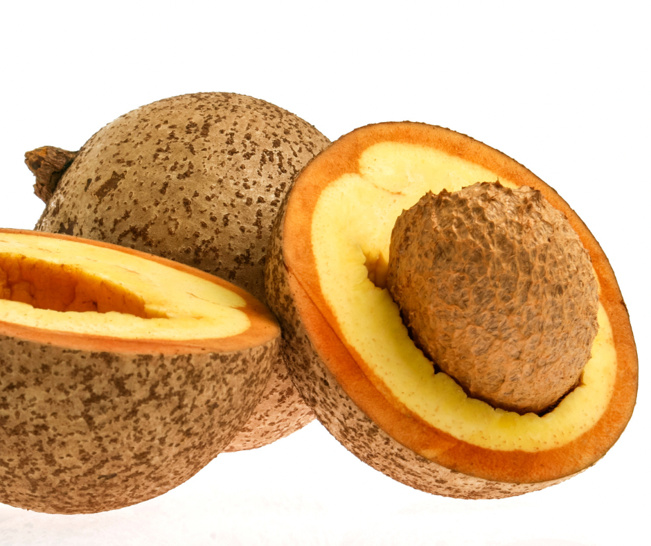 Mammea Americana - Mamey Apple