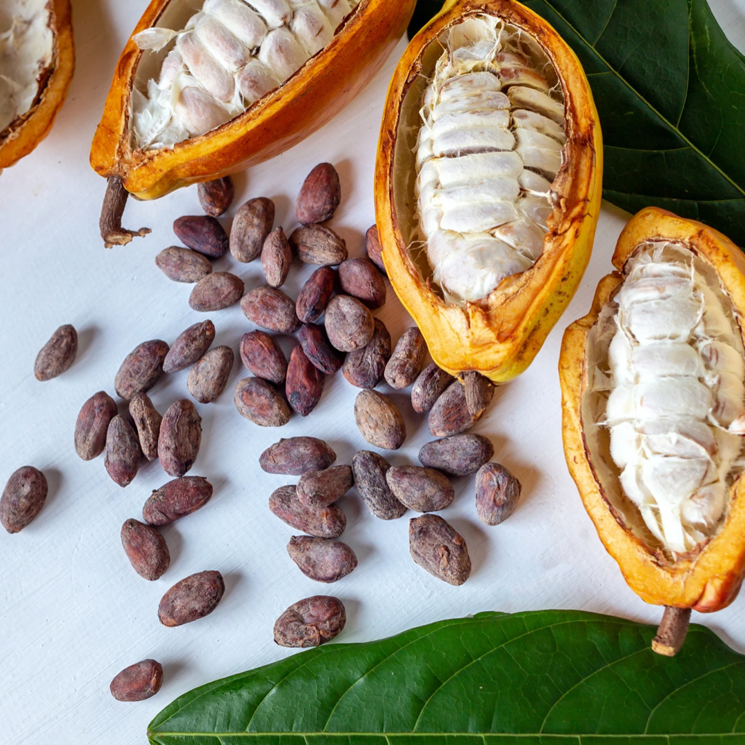 Cacao (cocoa) Theobroma - Criollo